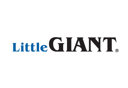 Little Giant by Franklin Electric logo